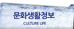 문화생활정보